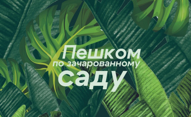 ������� ��� ��������
