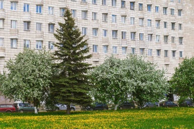 c-03