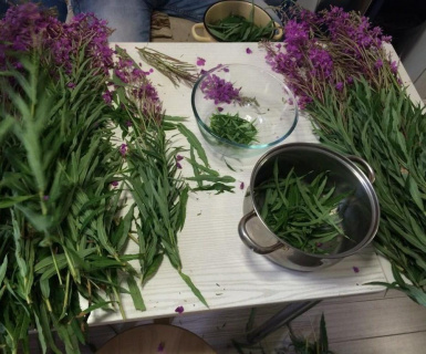 ������-����� ���������� ����-����