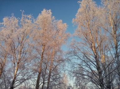 Зима на Русском Севере