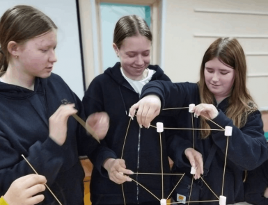 ���� ������������ ���