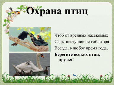 ���� �������������� ���� � ������