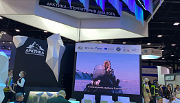 Фильмы Международного кинофестиваля стран Арктики «Arctic Оpen» показывают на ПМЭФ