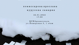 Новый выставочный проект «Дельта» открывается в Архангельске