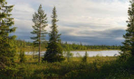 b05-01