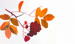 ������-����� �������� �������