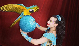 ���� ���� ������