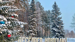 Более 20 тысяч туристов выбрали Архангельскую область на новогодние праздники