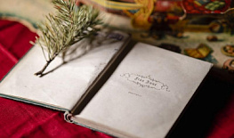 ������ ��������� ���������